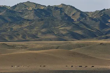 Désert de Gobi - crédits : © Brian A. Vikander