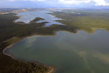 Les grands lacs de la forêt d’Orient, Aube - crédits : © Thierry Perrin/ HOA-QUI/ Gamma-Rapho/ Getty Images