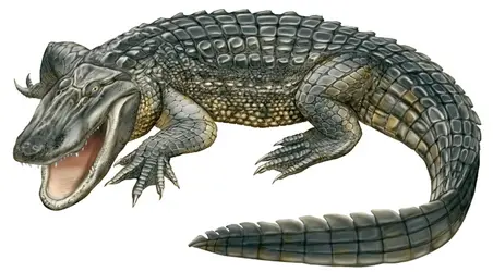 Alligator - crédits : © Encyclopædia Britannica, Inc.