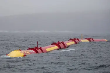 Pelamis - crédits : © Courtesy of Pelamis Wave Power