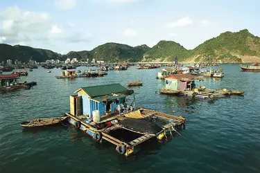 Golfe du Tonkin, Vietnam - crédits : © A. Mihich—DEA—Tips Images/DeA Picture Library