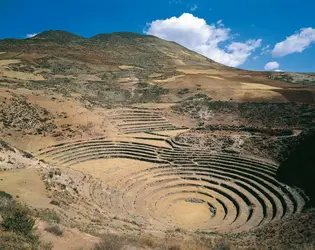 Cultures en terrasses au Pérou - crédits : De Agostini/ Getty Images
