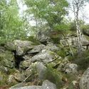 Forêt de Fontainebleau - crédits : © Carolunki/ Shutterstock