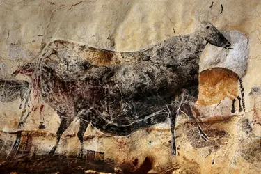 Grotte de Lascaux, Dordogne - crédits : Patrick Aventurier/ Getty Images News/ Getty Images