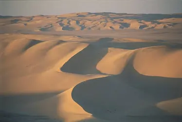 Désert du Sahara - crédits : © DeA Picture Library