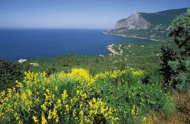 Péninsule de Crimée, Ukraine - crédits : © age fotostock/SuperStock