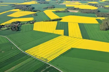 Paysage agricole, Beauce - crédits : © Philippe Devanne/ Fotolia