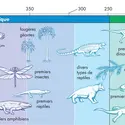 Vie sur Terre - crédits : © Encyclopædia Britannica, Inc.