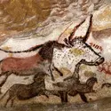 Grotte de Lascaux, Dordogne - crédits : Fine Art Images/ Heritage Images/ Getty Images