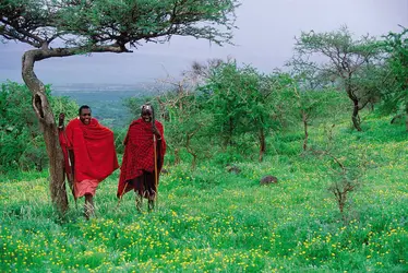 Tanzanie - crédits : © Mike Wilkes/Nature Picture Library