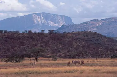 Rift Valley, Kenya - crédits : © B. A. Vikander/ West Light