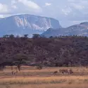 Rift Valley, Kenya - crédits : © B. A. Vikander/ West Light