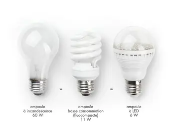 Puissance électrique d'une ampoule - crédits : © 2012 Encyclopædia Universalis France S.A. ; Shutterstock