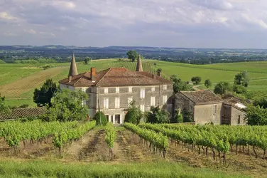 Gaillac, Tarn - crédits : © Dominique Reperant/ Gamma-Rapho/ Getty Images