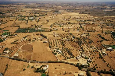 Agriculture irriguée, Libye - crédits : Reza/ Hulton Archive/ Getty Images