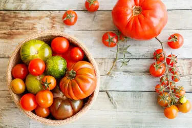 Tomates - crédits : © Erik Gonzalez/ 500px Plus/ Getty Images