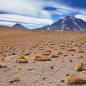 Altiplano, Chili - crédits : © Nataliya Hora/ Shutterstock