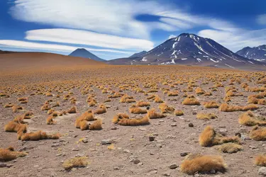 Altiplano, Chili - crédits : © Nataliya Hora/ Shutterstock