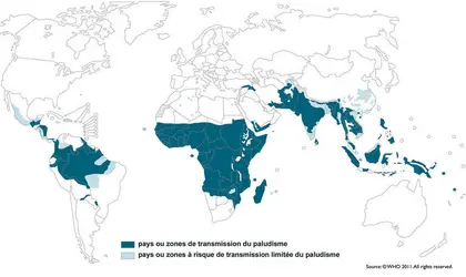 Carte de l'extension mondiale du paludisme - crédits : © OMS, 2011