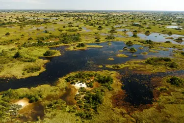 Delta de l’Okavango, Botswana - crédits : Marka/ Universal Images Group/ Getty Images