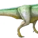 Tyrannosaure - crédits : © Encyclopædia Universalis France
