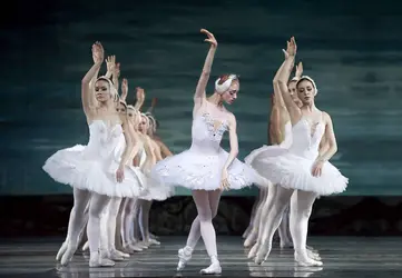 Le Lac des cygnes, ballet de Tchaïkovski - crédits : © Jack.Q/ Shutterstock