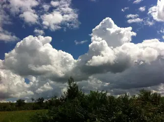 Cumulus congestus - crédits : J.-P. Chalon