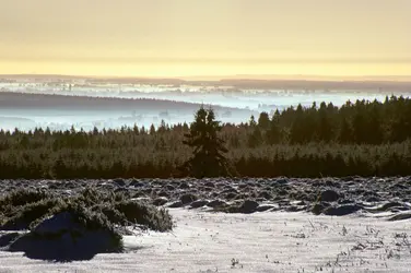 Plateau ardennais, Belgique - crédits : © S. Derder/ Blickwinkel/ Agefotostock