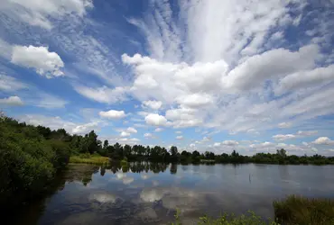 Étang du Forez, Loire - crédits : © Fabrice Roure/ Département de la Loire