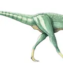 Oviraptor - crédits : © Encyclopædia Universalis France