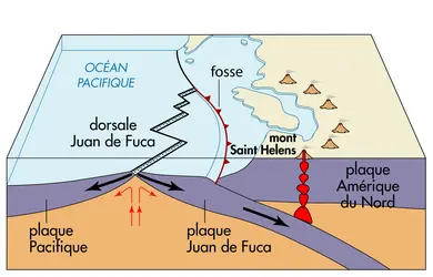 Formation du mont Saint Helens, États-Unis - crédits : © Encyclopædia Universalis France