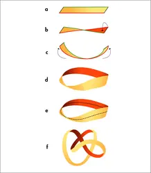 Fabrication d’un ruban de Möbius - crédits : © Encyclopædia Universalis France