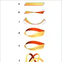 Fabrication d’un ruban de Möbius - crédits : © Encyclopædia Universalis France