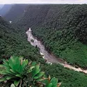 Fleuve Potaro - crédits : © Pete Oxford/Nature Picture Library