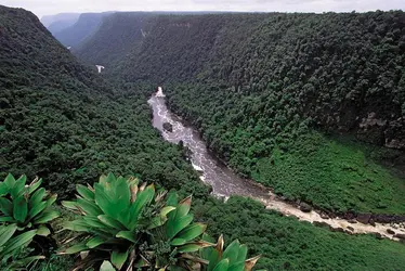 Fleuve Potaro - crédits : © Pete Oxford/Nature Picture Library