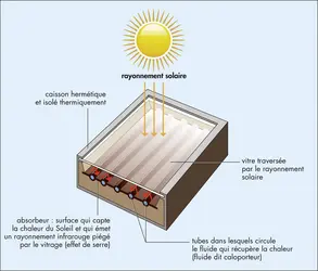 Principe du panneau solaire thermique - crédits : © Encyclopædia Universalis France
