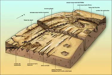 Fosses de subduction du Japon et des Kouriles - crédits : Encyclopædia Universalis France