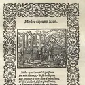 Les Métamorphoses, poème d'Ovide - crédits : © Universal History Archive/ Getty Images