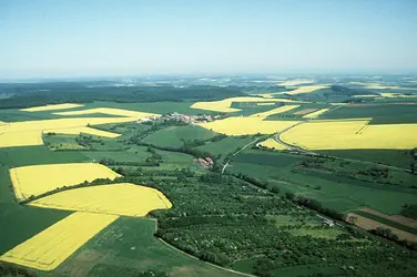 Openfield en Lorraine - crédits : Collection R. Berton-A. Humbert