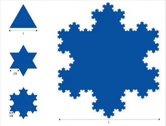 Croissance fractale - crédits : Encyclopædia Universalis France