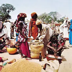 Marché au Cameroun - crédits : © Salmer/Plessner—Keystone