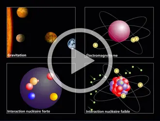 Particules élémentaires - crédits : Encyclopædia Universalis France