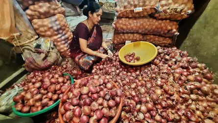 Commerce d’oignons en Inde - crédits : Praful Gangurde/ Hindustan Times/ Getty Images