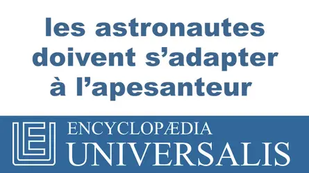 Apesanteur - crédits : © 2013 Encyclopædia Universalis