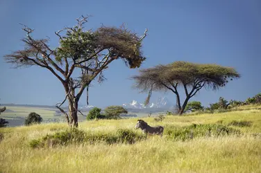 Parc national du mont Kenya - crédits : © Spirit of america/ Shutterstock