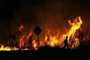 Effets d'El Niño - crédits : © J. van der Wolf/ Shutterstock