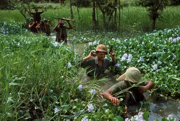 Guerre du Vietnam - crédits : © Paul Schutzer/The LIFE Picture Collection/ Getty Images