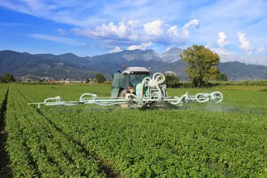Pesticides - crédits : © F. Rostagno/ Shutterstock