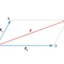 Résultante de 2 forces - crédits : © Encyclopædia Universalis France