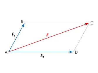 Résultante de 2 forces - crédits : © Encyclopædia Universalis France